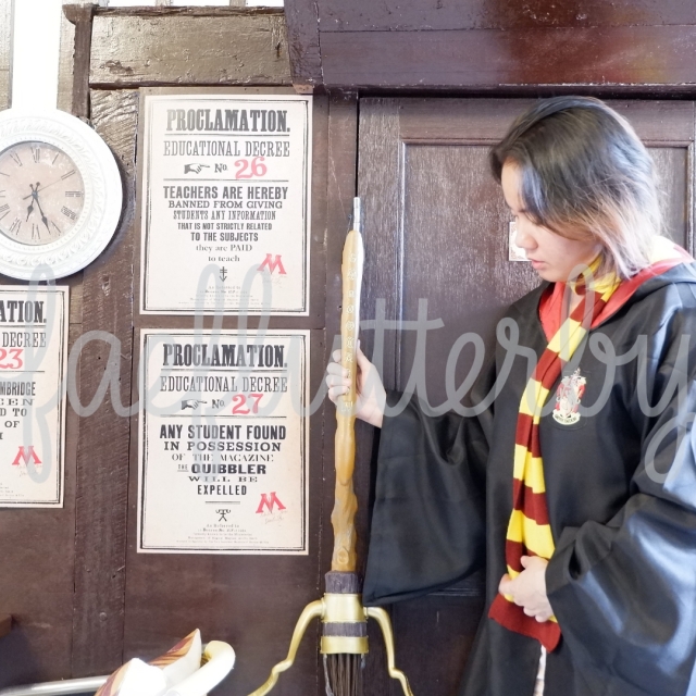 Fae Flutterby - Malaysia Budget &amp; Itinerary_ Kuala Lumpur &amp; Penang - Potterhead Malaysia Gryffindor Quidditch